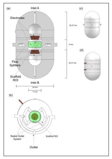 研究员开发出新型细胞培养生物反应器的数字建模方法