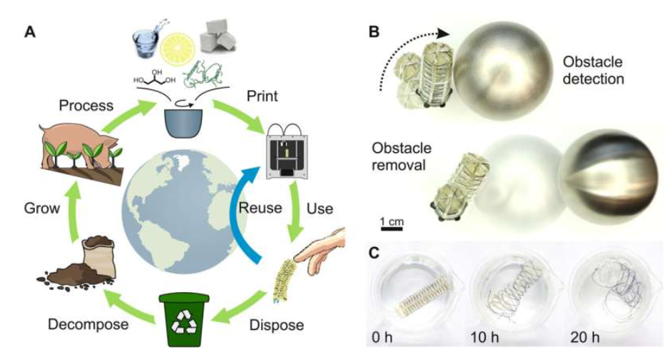 可生物降解的软机器人手指通过 3D 打印窥探循环经济