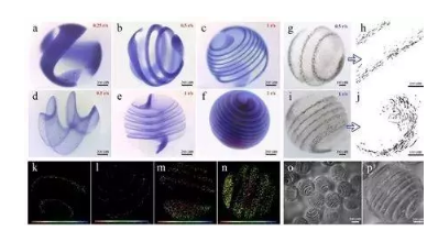 浙江大学研发“黑科技” 让3D打印迷你器官不再是梦