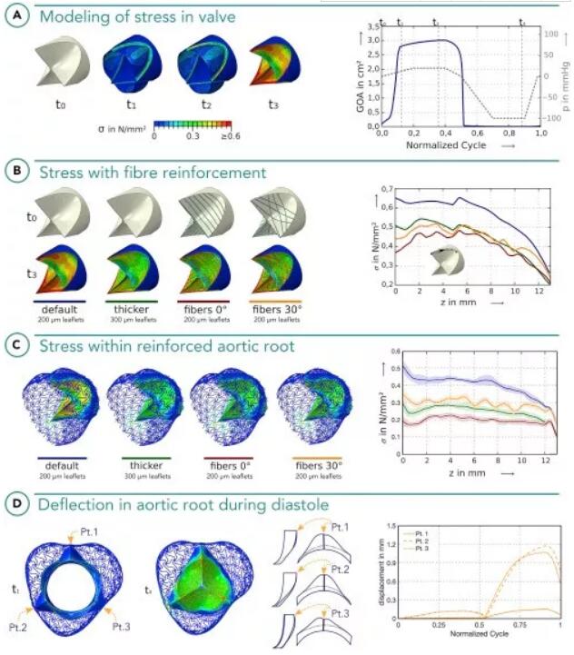 Heart Valve PC_Matter