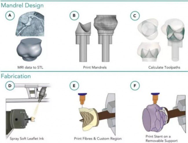 Heart Valve Print_Matter