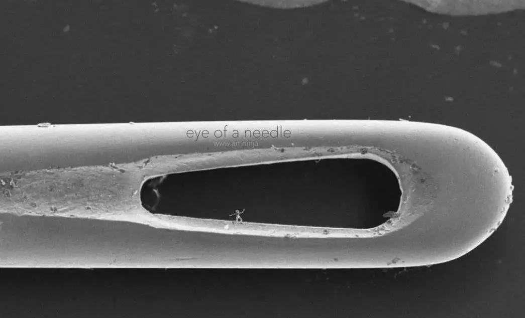 用3D打印技术可以制作针眼中的微缩雕塑