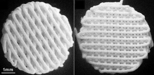 part_ceramic bone_scaffold