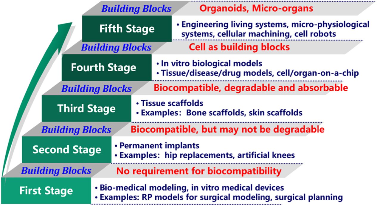 国际研究人员发布《3D生物打印路线图》